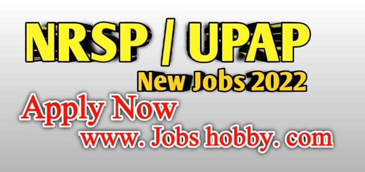 NRSP/UPAP Microfinance jobs 2022 by www.jobshobby.com
